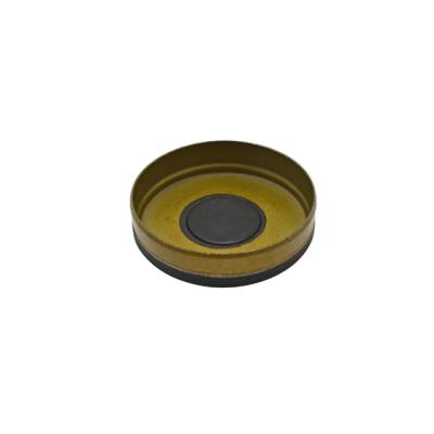 Manual Nsg370 Countershaft Plug Seal 6-Spd 2005-2010 Wrangler USA Standard