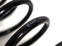 2021-2025 Ford F-150 Raptor Rear 1 Inch Lift Triple Rate Coil Spring Kit Icon Vehicle Dynamics
